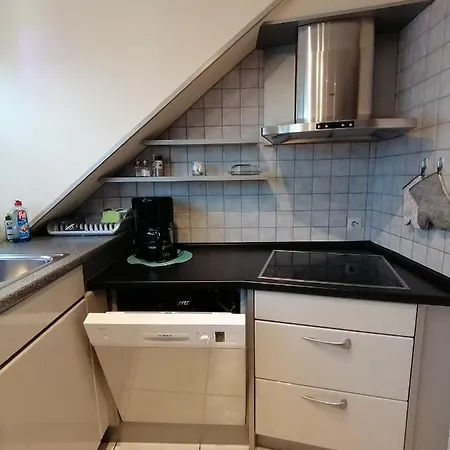Haus-haller