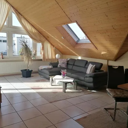 Haus-haller *